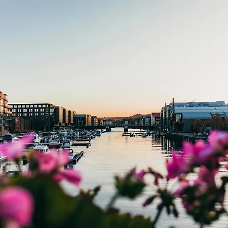 Modern, Big And In Lägenhet