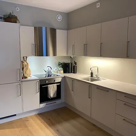 Modern, Big And In Apartamento Trondheim